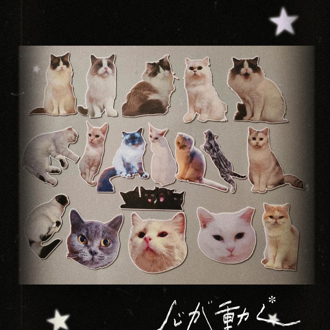 卖女孩的小火柴爆改幼喵园