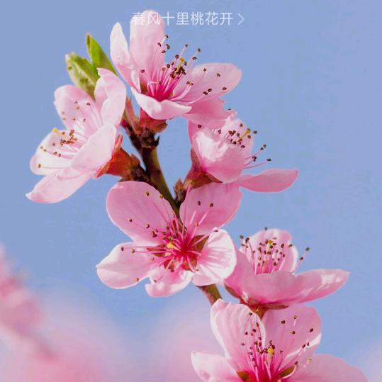 阳春