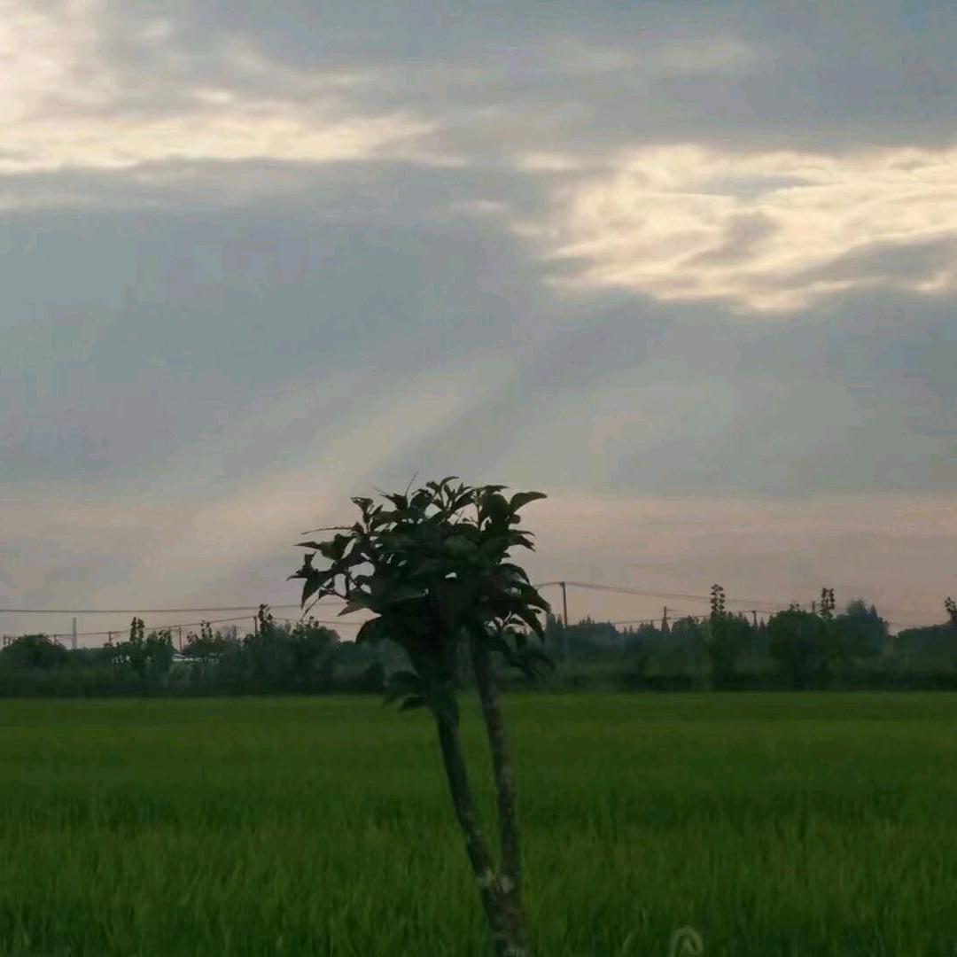 幸运
