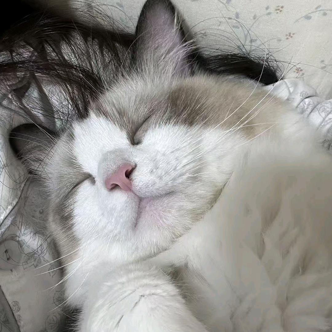 luv