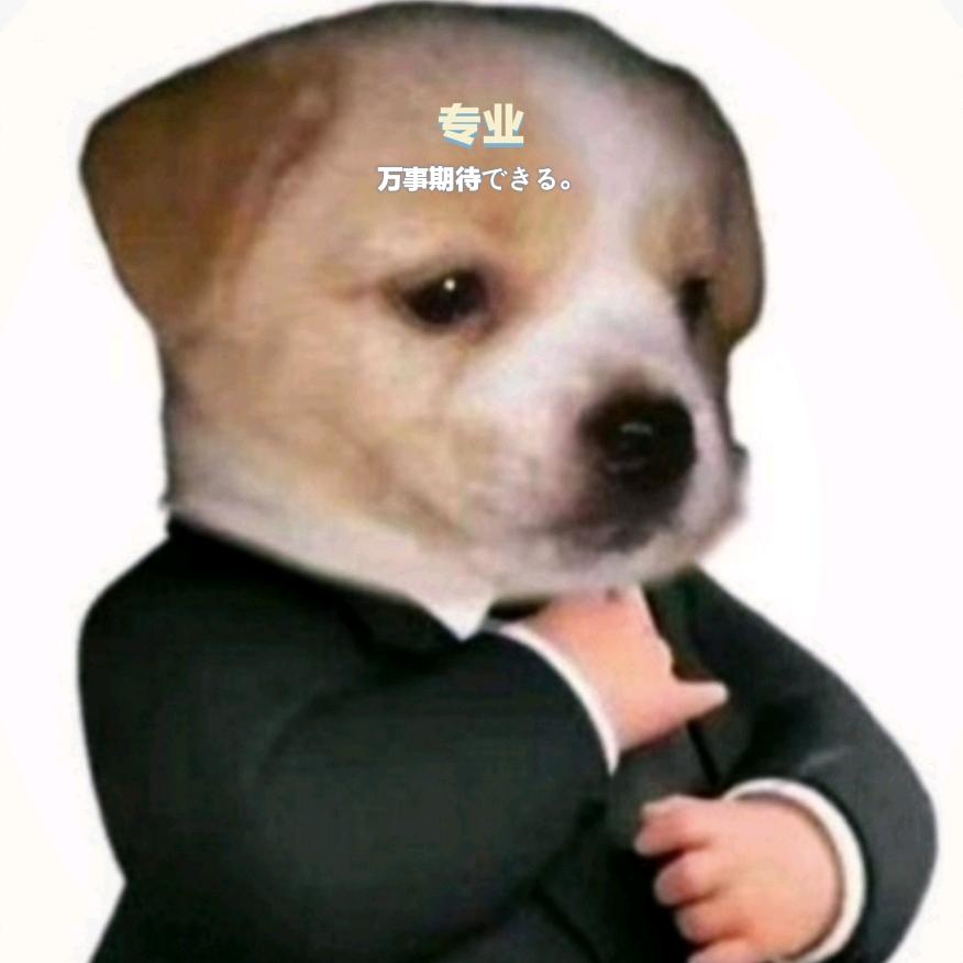 五羊城·房友记（广州租房）