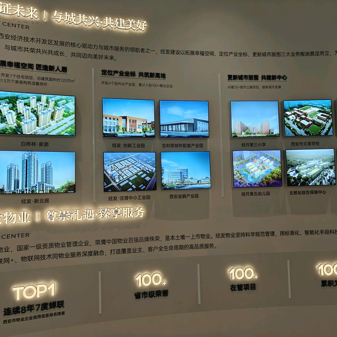 砖家就是专家