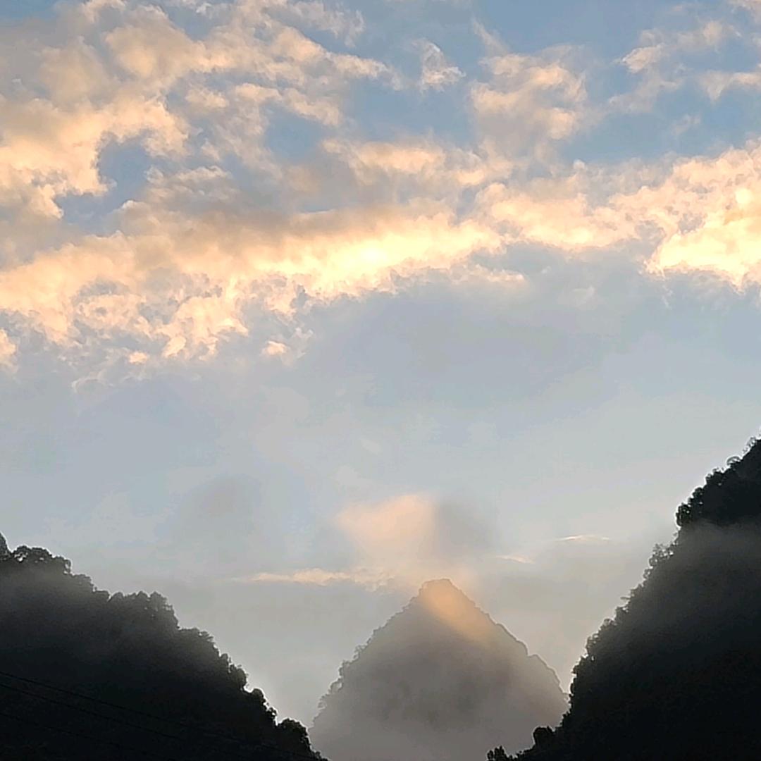 仲夏