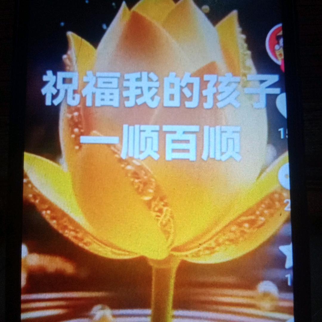 老来乐