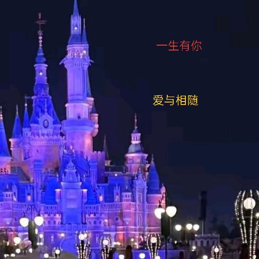 一生有你229！