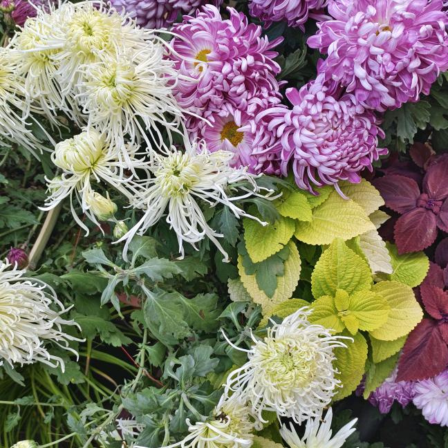 安陆市铜钱百货商行