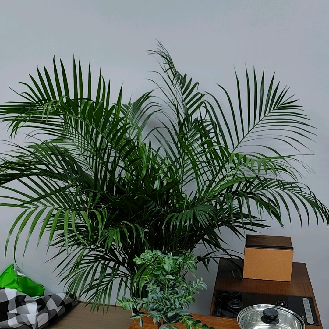 小桥流水