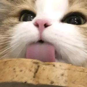 录开箱视频