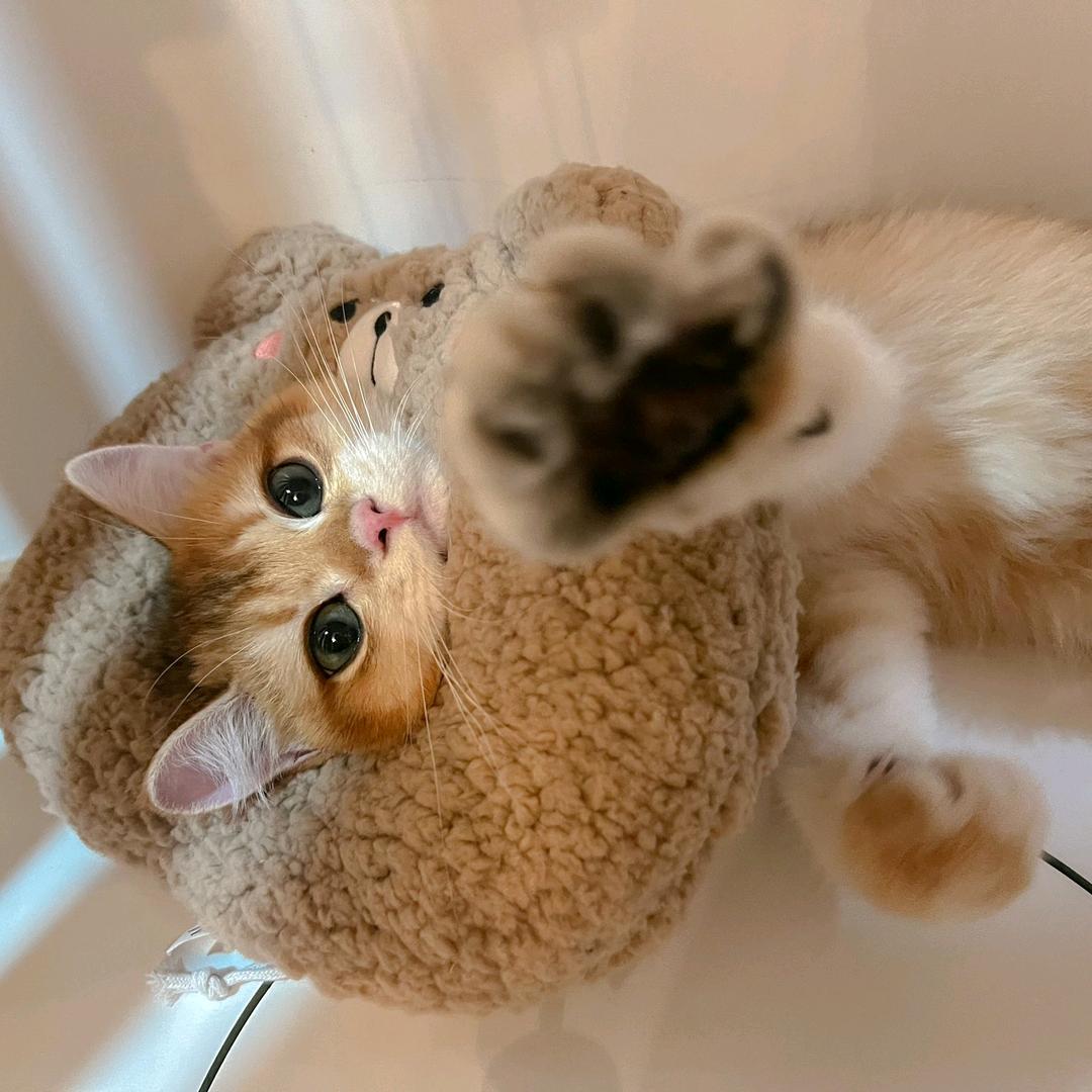 dy3wsdg2rccl