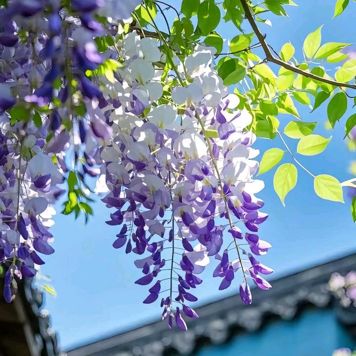 放下零食，立地减脂!