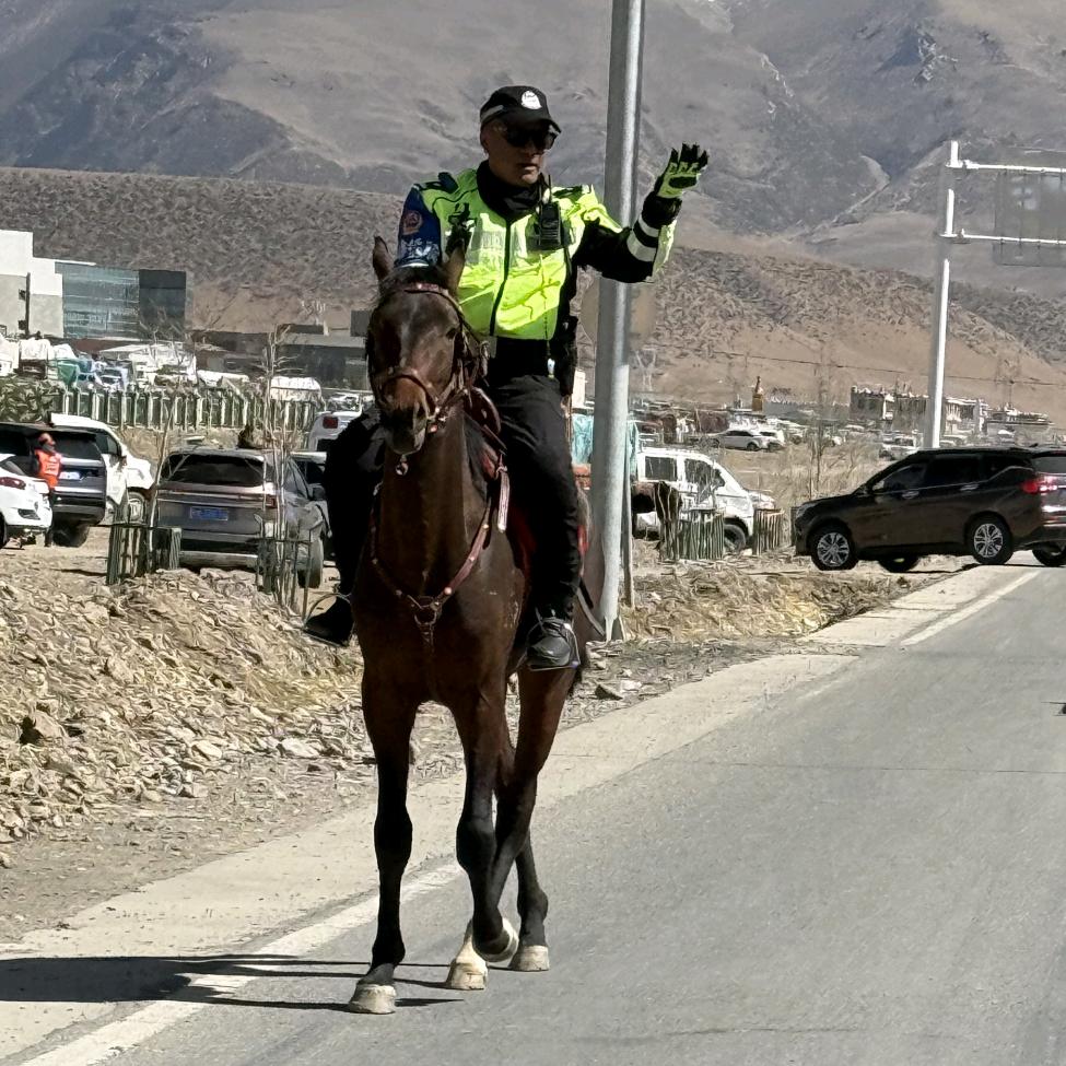 拉萨雪域骑士  土旦