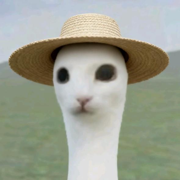 老婆消失的雨夜