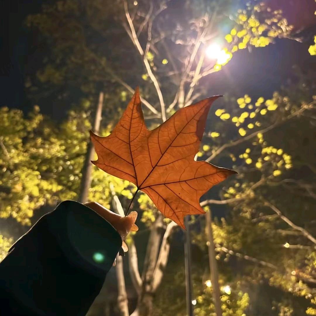 波子