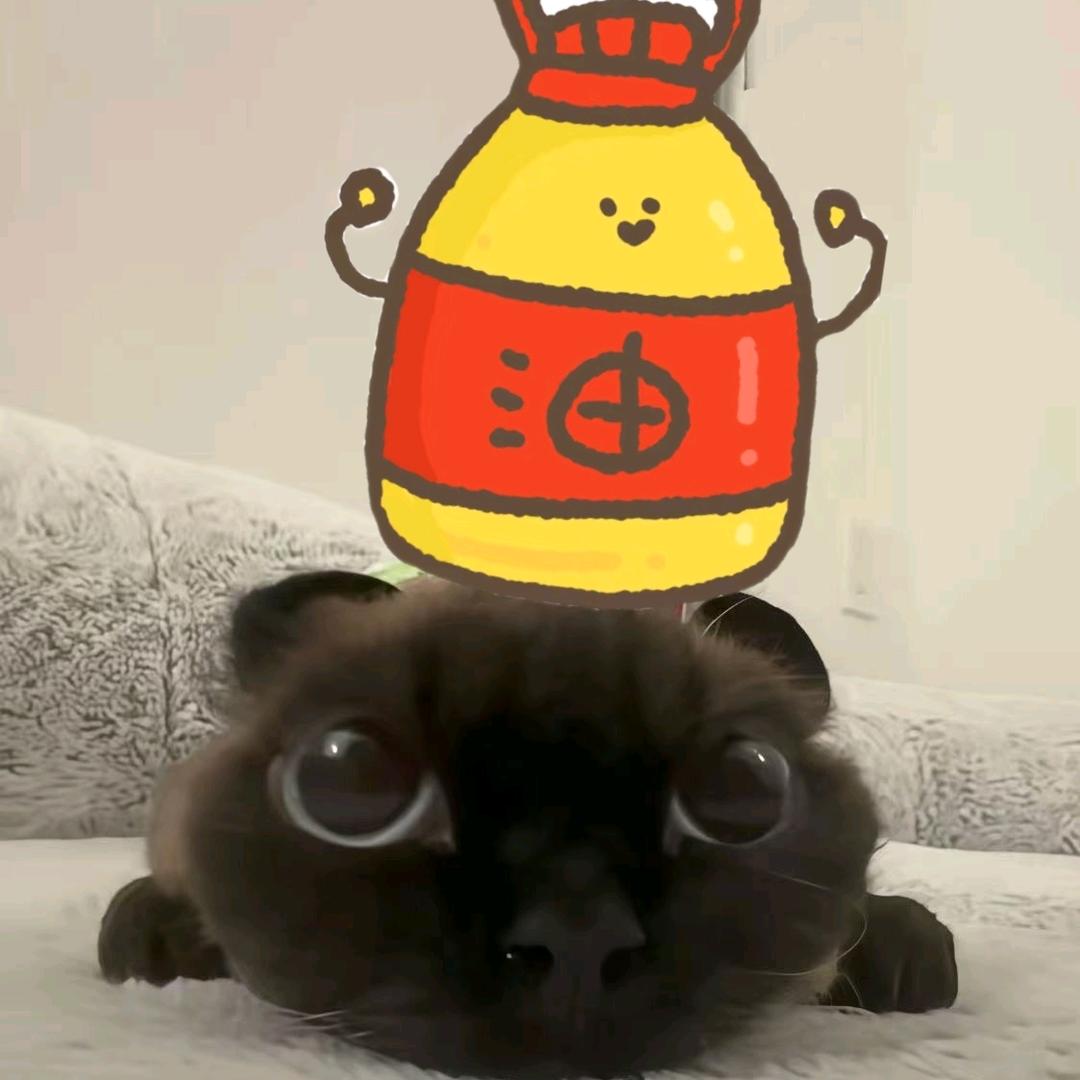 喵喵教阿狸大王