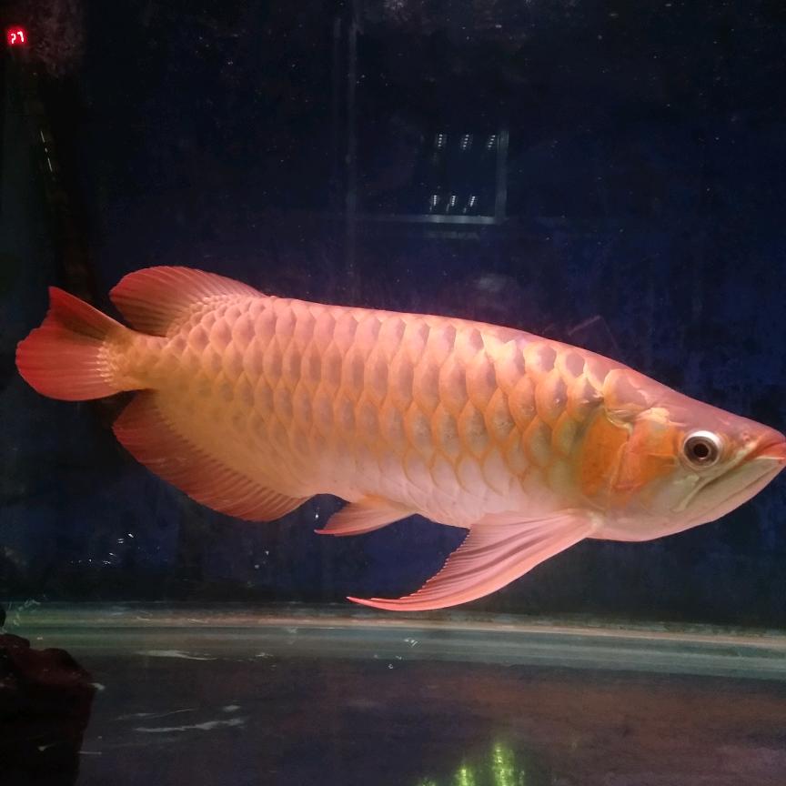 今生只为遇见你