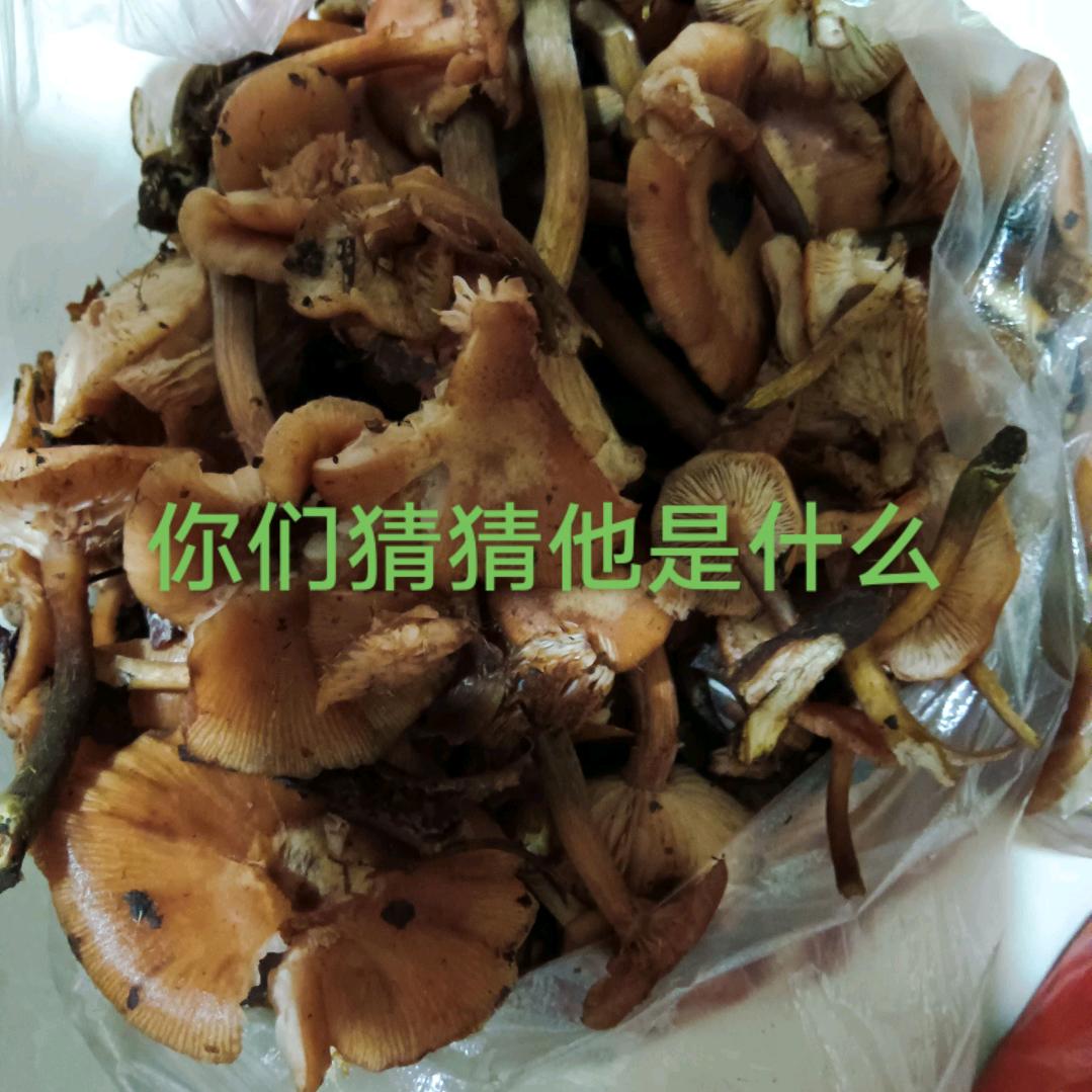 老家风景很美
