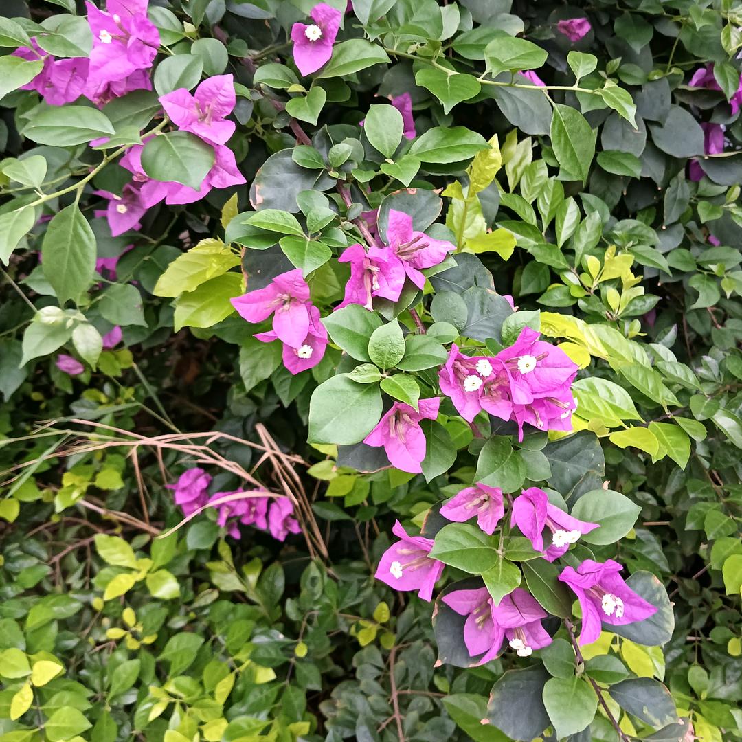 谁懂我的心