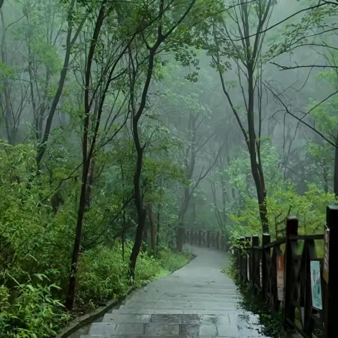 ⭐满⭐目⭐星⭐陈⭐