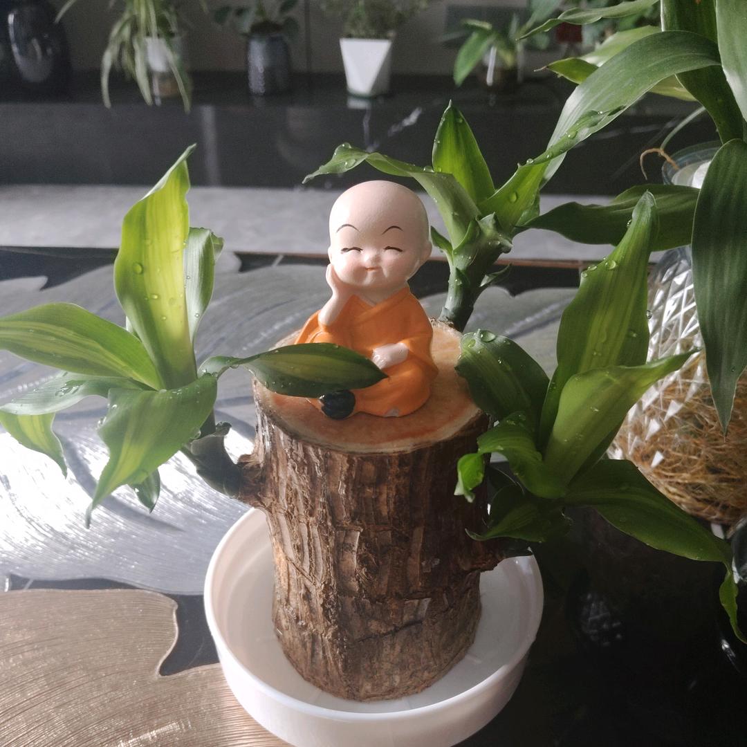 蓝眼泪_228491559