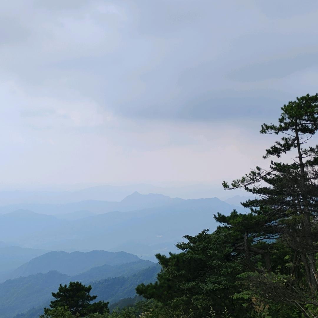 通山～通向山巅