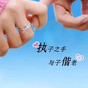 诚信赢天下520