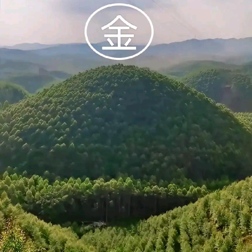 高副帥