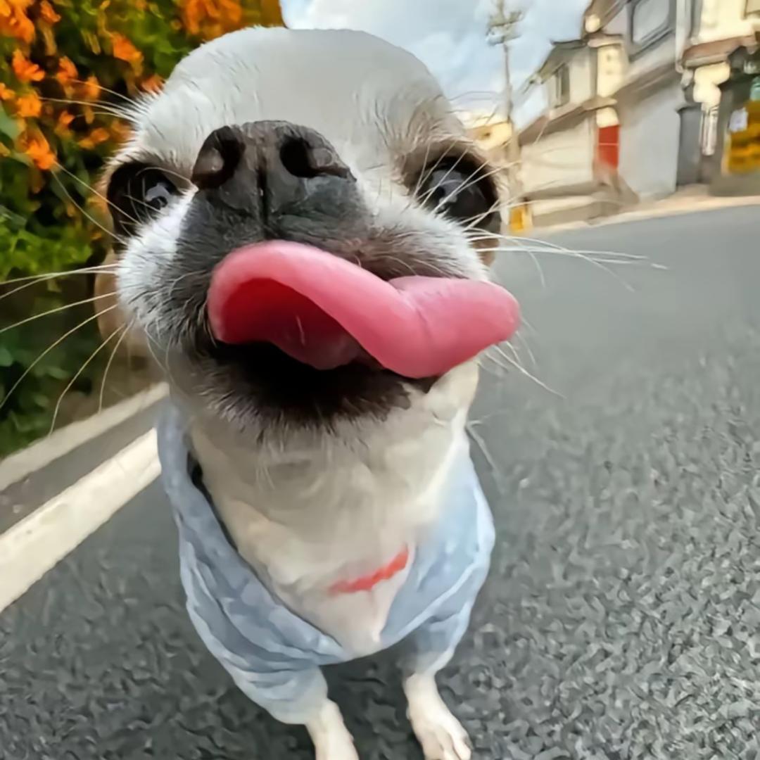 关于你.