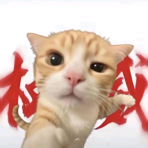 猫meme七月