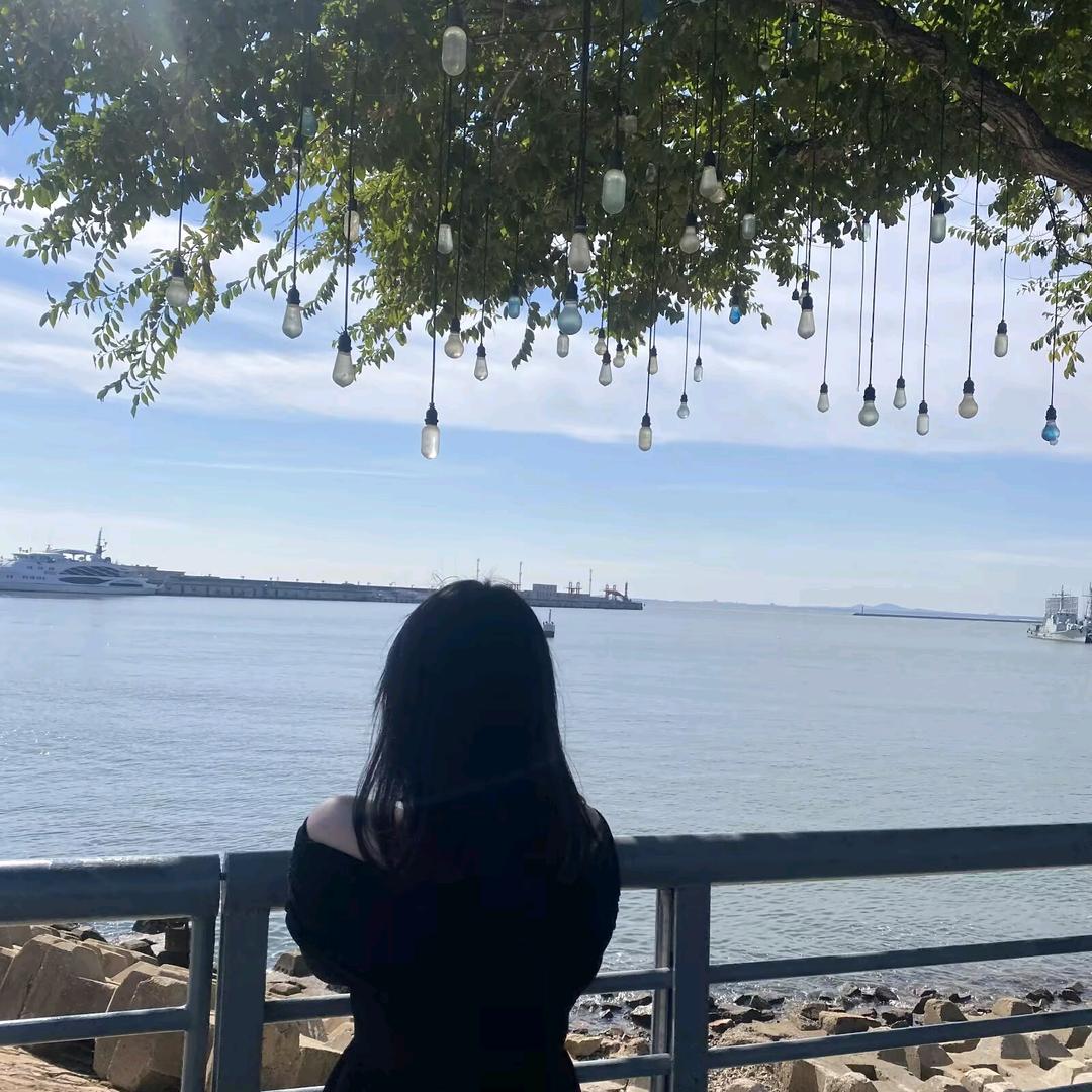 爱唱歌的百灵鸟