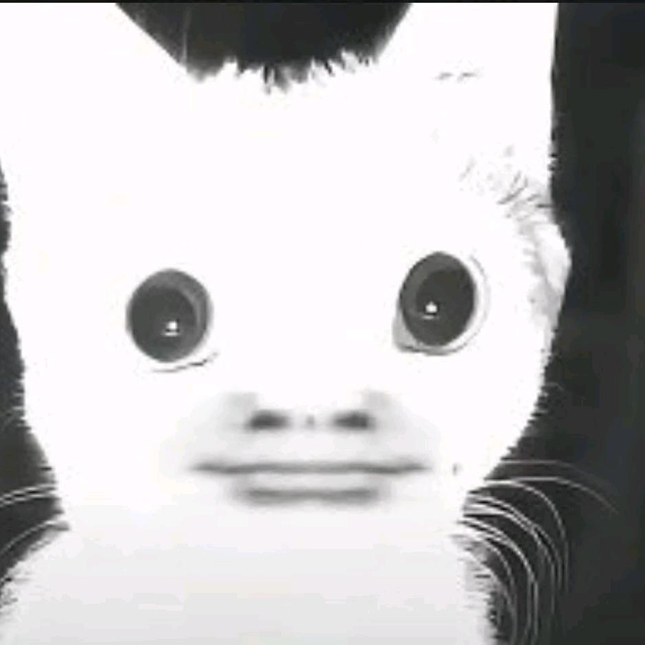 兔兔叉.(•‿•)
