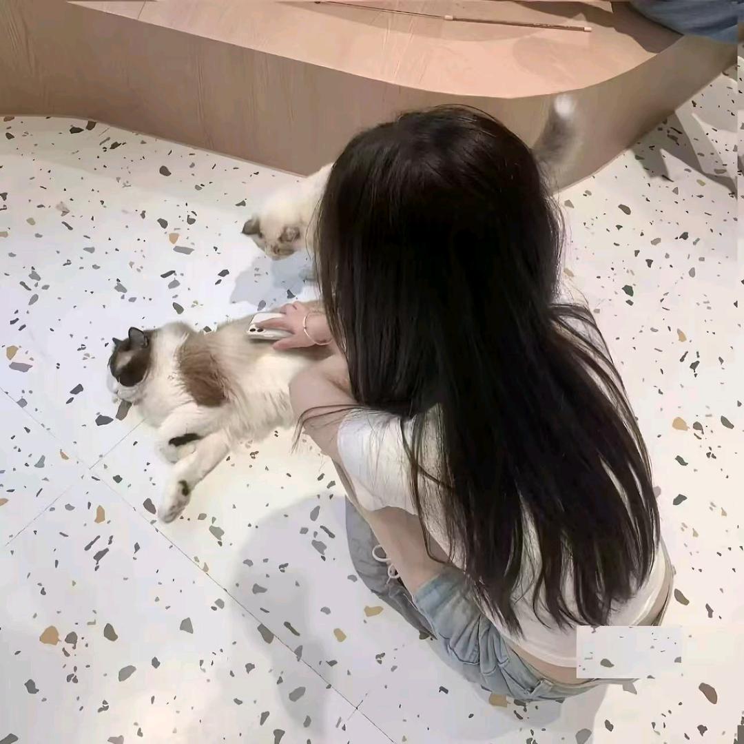 骂我背刺的都是乐子