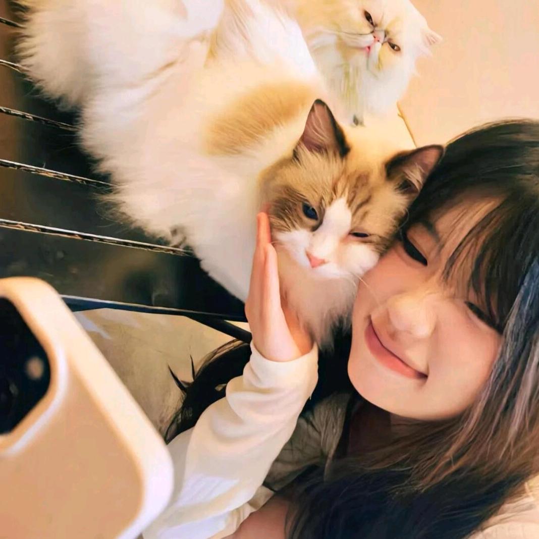 落单的病猫^_^