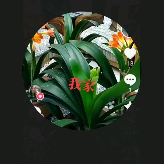Z一生平安