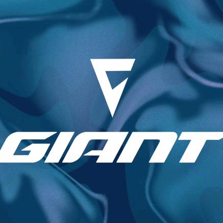 张家港捷安特城东店捷安特