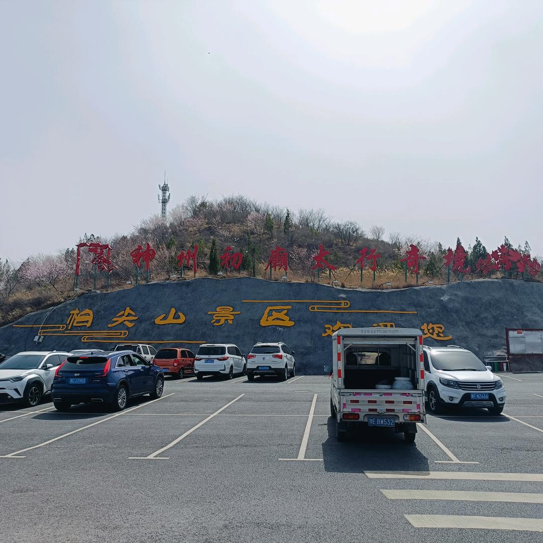 余烬生花