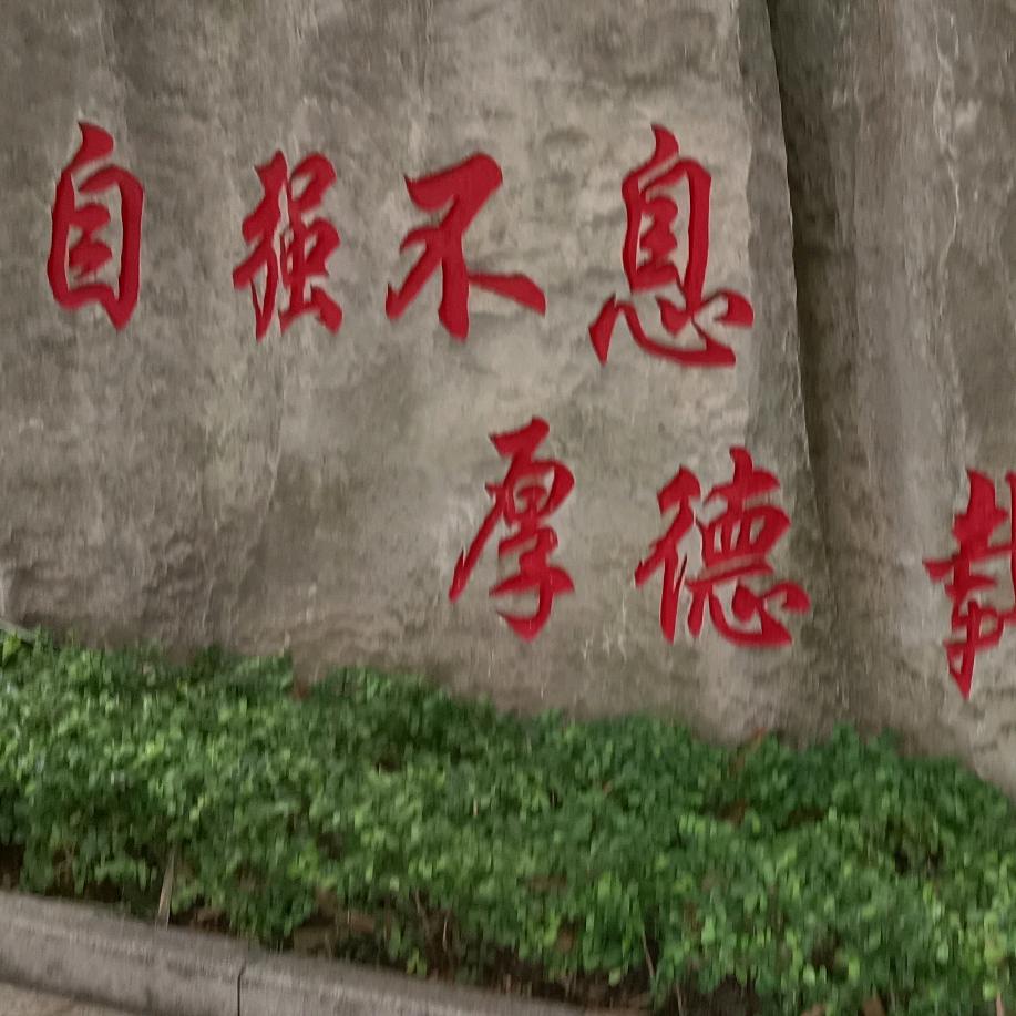 广西老表