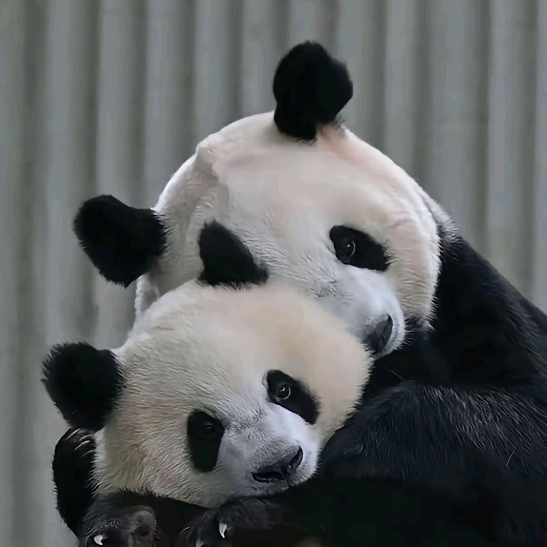 太平洋
