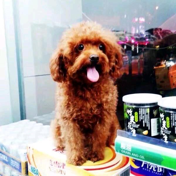舍得