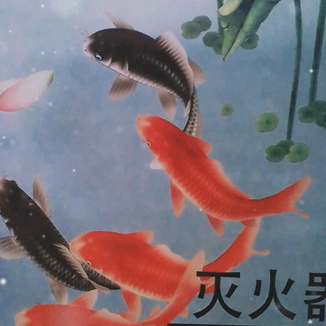乐乐智慧