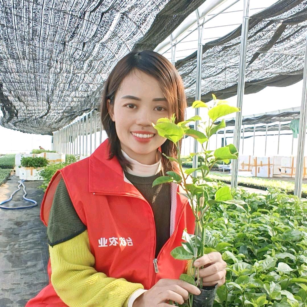 江陵县晨兰种业店（个人独资）企业店