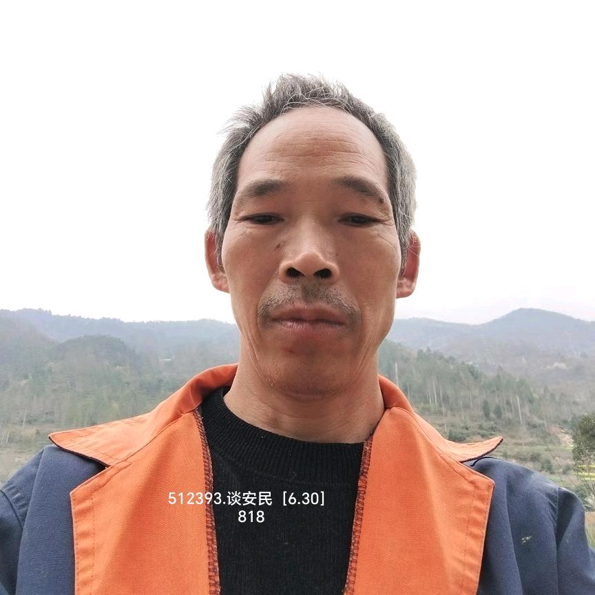 谈安民818数字商船，512393