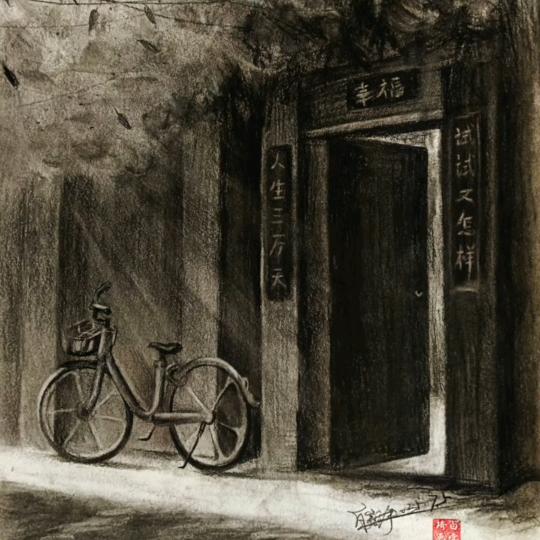 小猫咪日常