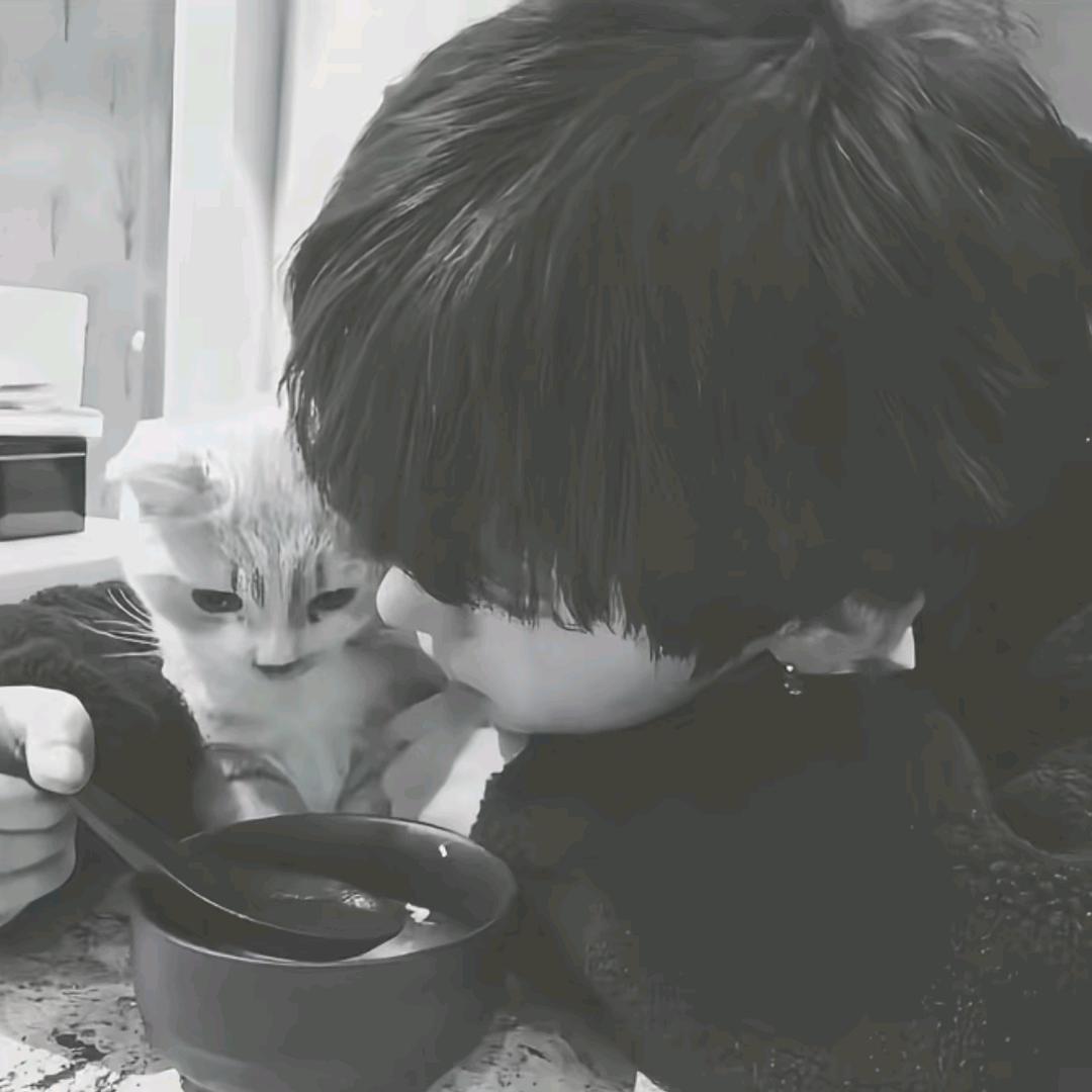 忧郁的四川人