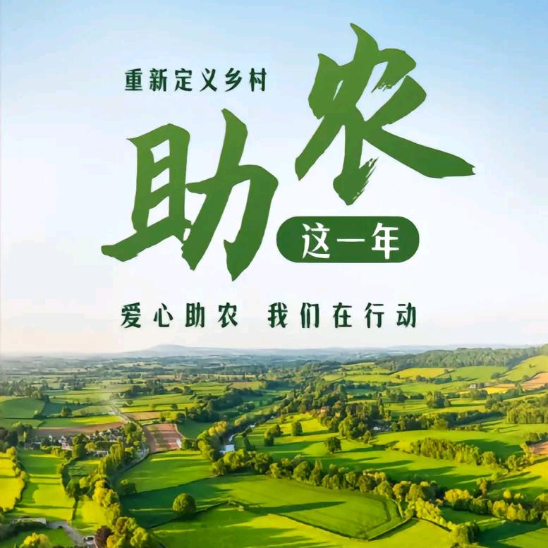 农副产品优选生活市集