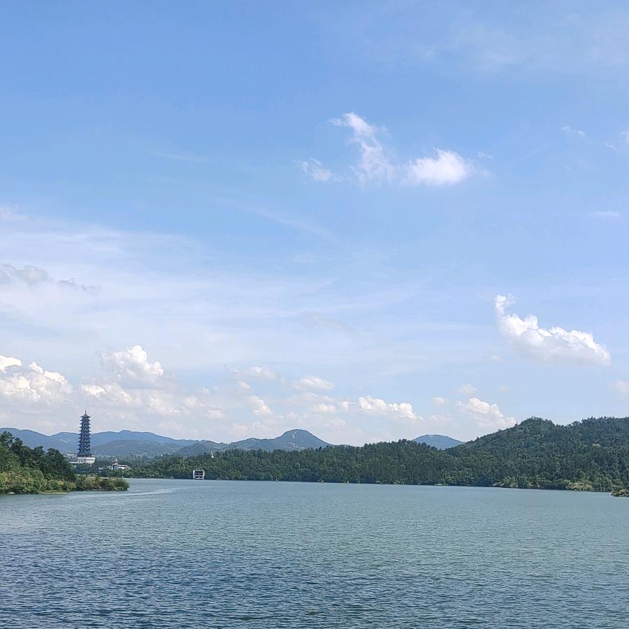 热心市民小陳