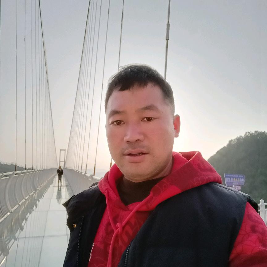 龙哥