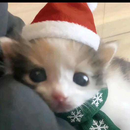 一会儿吃什么？