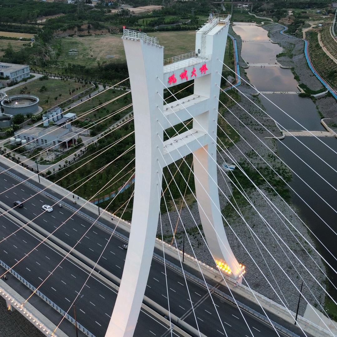 龙龙
