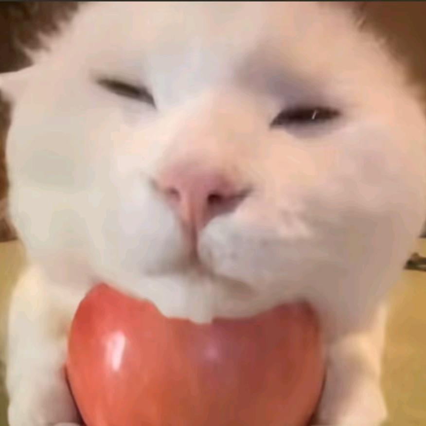 一个大不U