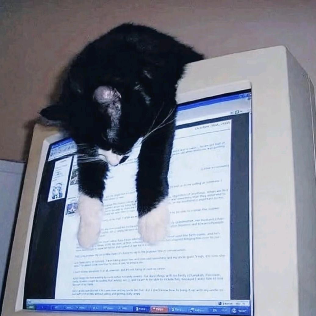 悲伤小猫